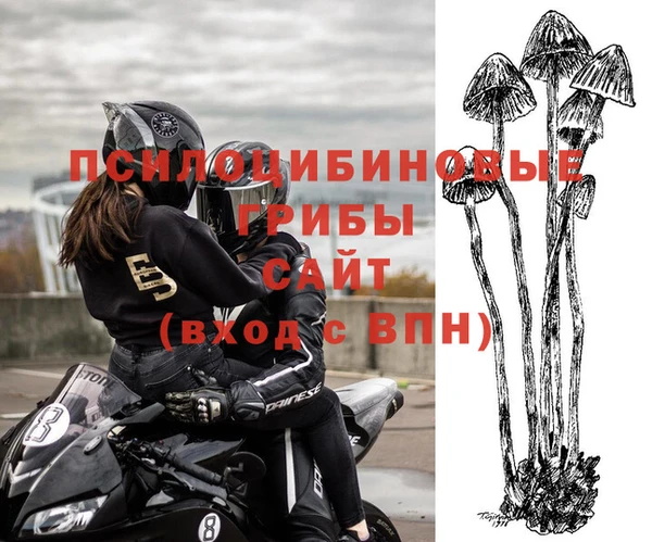 apvp Баксан