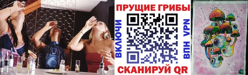 Псилоцибиновые грибы мицелий  Шарья 